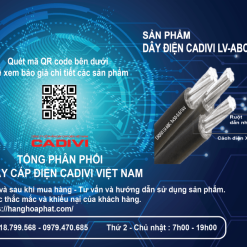 Dây điện cadivi LV-ABC 3x50 -2