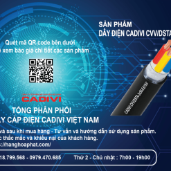 Dây điện CADIVI CVV/DSTA 3x50-2