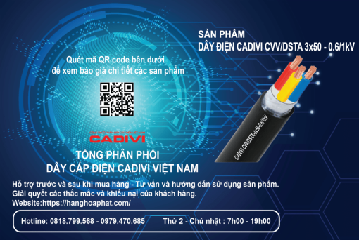 Dây điện CADIVI CVV/DSTA 3x50-2