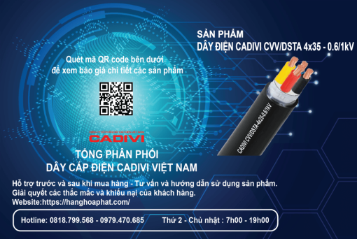 Dây điện CADIVI CVV/DSTA 4x35-2