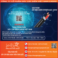 Dây điện CADIVI CVV/DSTA 25-2