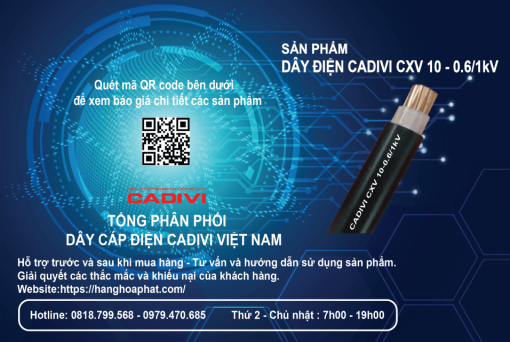 dây điện Cadivi CXV10-1