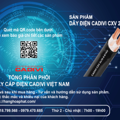 dây điện Cadivi CXV2X10-2