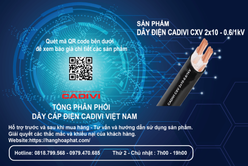 dây điện Cadivi CXV2X10-2