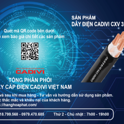 dây điện Cadivi CXV3X16-2