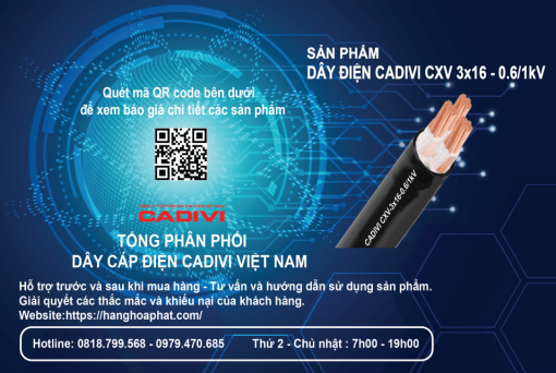 dây điện Cadivi CXV3X16-2