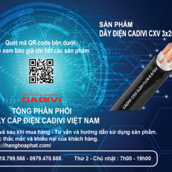 Dây điện cadivi cxv 3x25+1x16