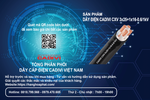 Dây điện cadivi cxv 3x25+1x16