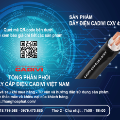 dây điện Cadivi CXV4X35-2