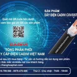 Dây điện cadivi cxv/dsta 2x10-1