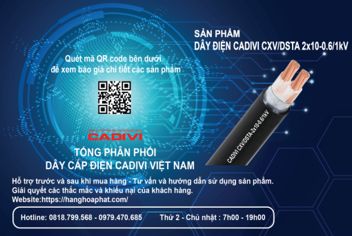 Dây điện cadivi cxv/dsta 2x10-1