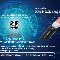 Dây điện cadivi cxv/dsta 3x4-1