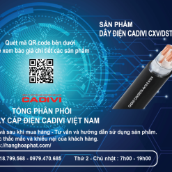 Dây điện cadivi cxv/dsta 4x10-1