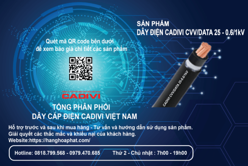 Dây điện CADIVI CVV/DATA 25-2