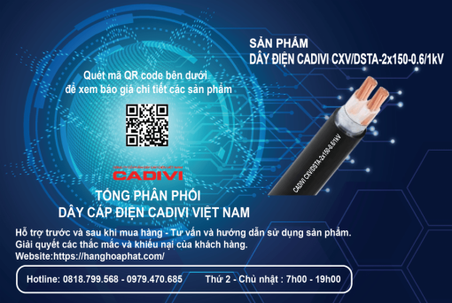 dây điện Cadivi CXV/DSTA 2X150-2