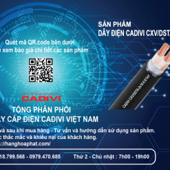 dây điện Cadivi CXV/DSTA 2X16-1