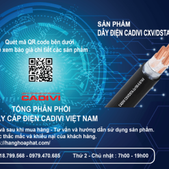 dây điện Cadivi CXV/DSTA 3X150-2