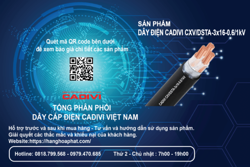 dây điện Cadivi CXV/DSTA 3X16-2