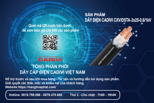 dây điện Cadivi CXV/DSTA 3X25-2