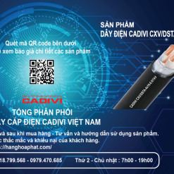 dây điện Cadivi CXV/DSTA 4X16-2