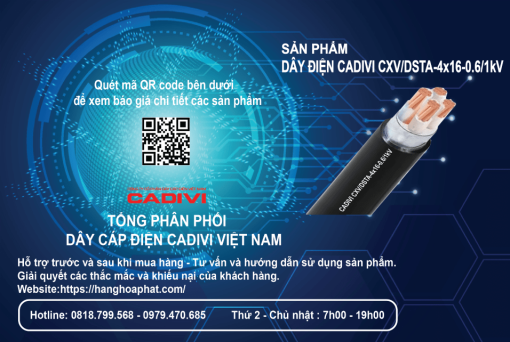 dây điện Cadivi CXV/DSTA 4X16-2