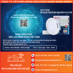 Đèn âm trần downlight AT10 110-12W đổi màu B2