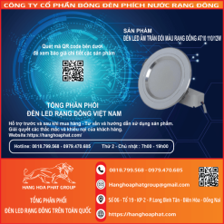 Đèn âm trần downlight AT10 110-12W đổi màu B3