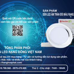 Đèn âm trần downlight AT10 110-9W B5