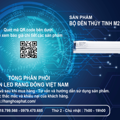 Bộ đèn thủy tinh Rạng Đông M21-2