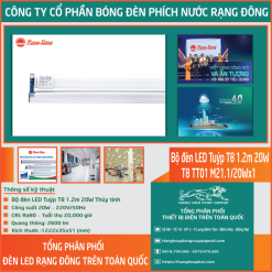 Bộ đèn thủy tinh Rạng Đông M21