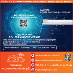 Bộ đèn thủy tinh Rạng Đông M21-1