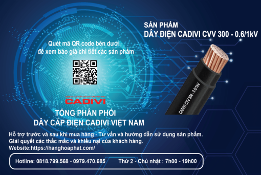 Dây điện CADIVI CVV 300-2