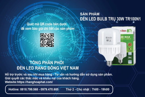 Bóng đèn Rạng Đông BULB Trụ 30W 3