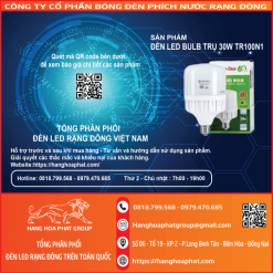 Bóng đèn Rạng Đông BULB Trụ 30W 1