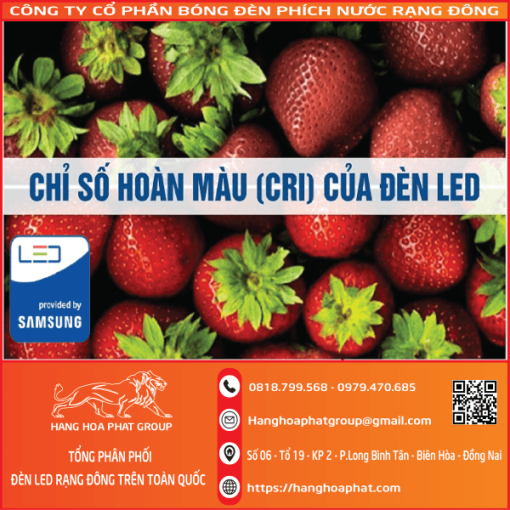 đèn led rạng đông chỉ số hoàng màu cri