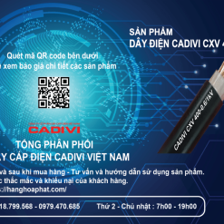 Dây điện cadivi CXV400-2