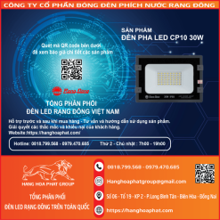 Đèn Pha LED CP10 30W Rạng Đông-2